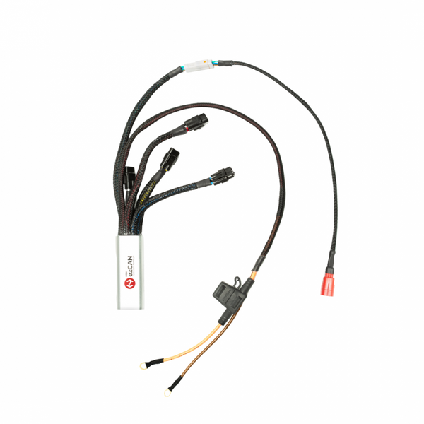 HEXezCANIIDaytonaforHarleyDavi