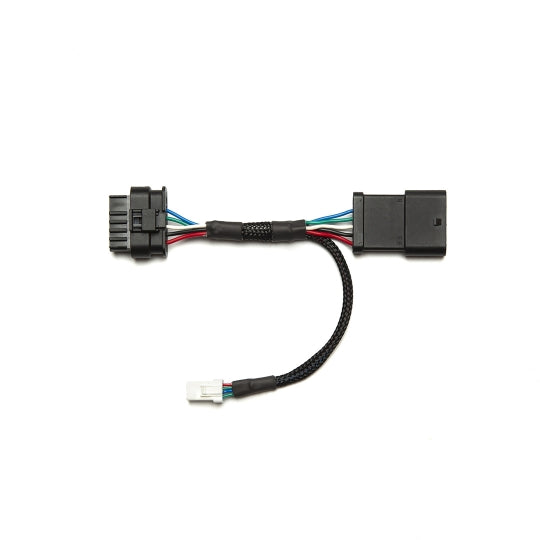 HEX ezCAN II for BMW R1300GS 